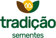 Tradição Sementes