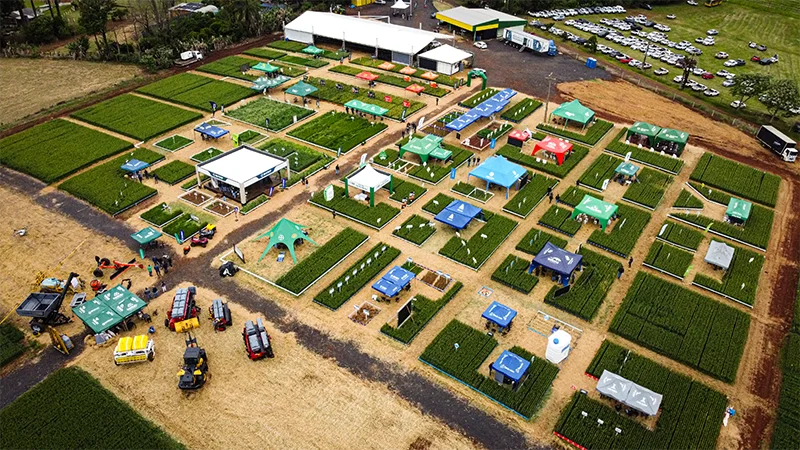 Vista aérea da estrutura do Dia de Campo de Inverno 2025, com tendas, estandes e parcelas de cultivo