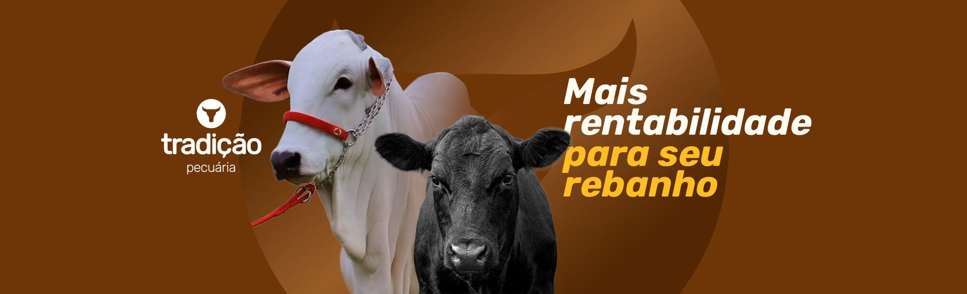 Tradi��o Pecu�ria