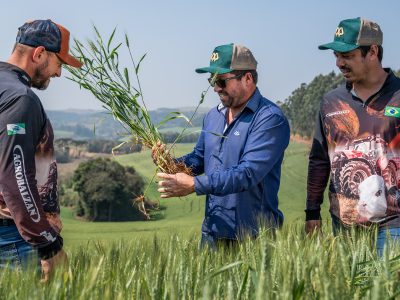 seguro-safra-de-inverno-e-maquinas-agricolas