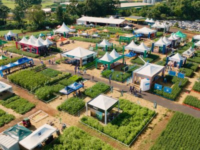 dia-de-campo-de-verao-acontece-na-proxima-semana