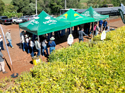 tradicao-sementes-e-donmario-promovem-evento-tecnico