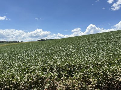conflito-no-oriente-medio-acende-alerta-no-agronegocio-mundial-e-exige-atencao-dos-produtores