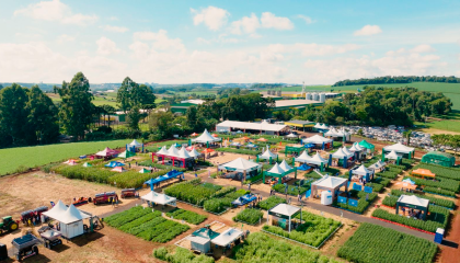 Centro de Inova��o e Tecnologia Tradi��o - CITT