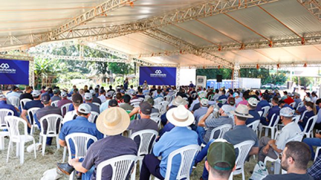 dia-de-campo-de-verao-coopertradicao-apresenta-grandes-variedades-para-a-proxima-safra