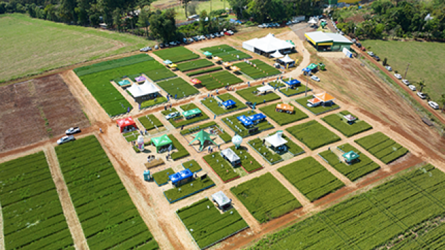 dia-de-campo-de-trigo-reune-cerca-de-500-pessoas