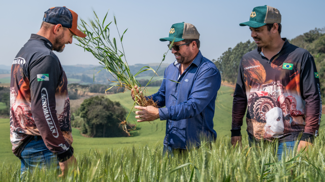 seguro-safra-de-inverno-e-maquinas-agricolas