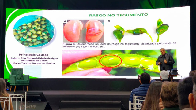 tradicao-sementes-acompanha-de-perto-as-inovacoes-do-setor-em-congresso