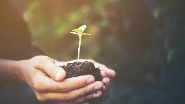 governo-disponibiliza-plataforma-que-ajuda-produtor-a-cumprir-codigo-florestal