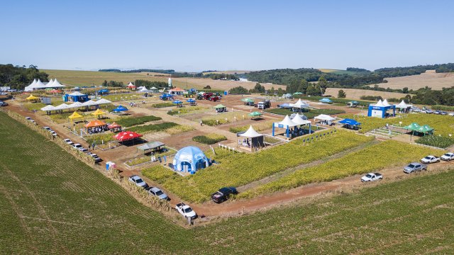 dia-de-campo-da-coopertradicao-traz-culturas-de-soja-e-milho-e-tambem-momento-para-pecuaristas