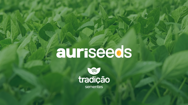 tradicao-sementes-lanca-plataforma-auriseeds