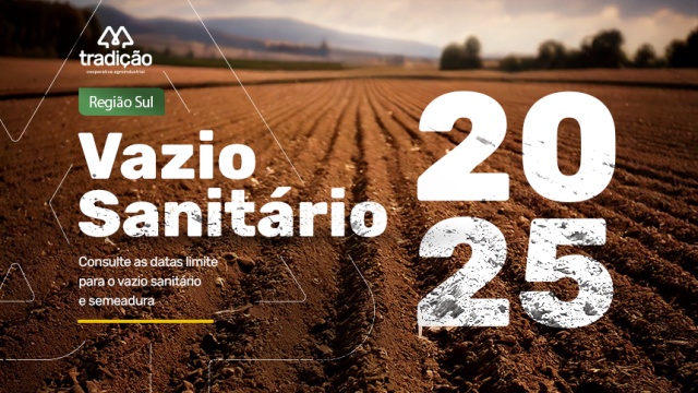 confira-as-datas-do-vazio-sanitario-da-soja