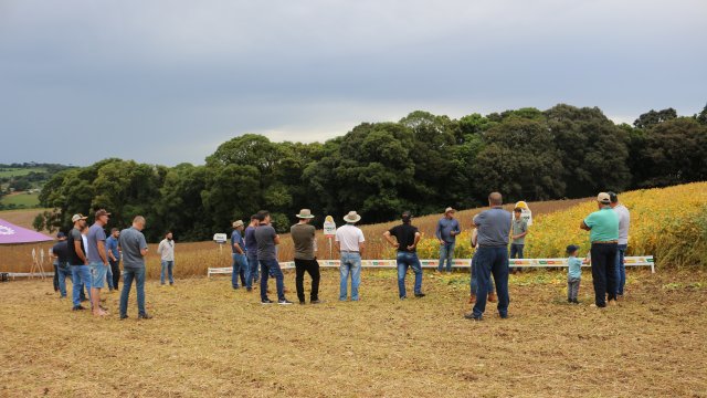 entreposto-de-mariopolis-realiza-dia-de-campo-na-fazenda-nossa-senhora-aparecida