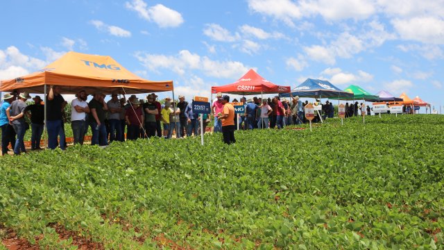 coopertradicao-reune-clientes-e-produtores-de-sementes-em-edicao-especial-de-dia-de-campo