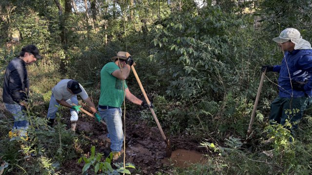 tradicao-e-rotary-club-araucaria-promovem-segunda-acao-de-protecao-de-nascentes