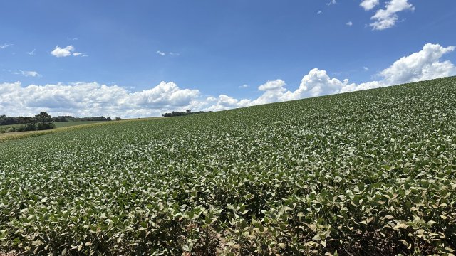 conflito-no-oriente-medio-acende-alerta-no-agronegocio-mundial-e-exige-atencao-dos-produtores