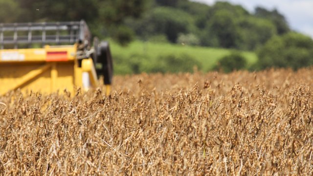 no-sudoeste-agronegocio-garante-seguranca-alimentar-e-gira-economia