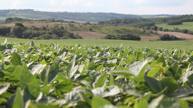 plantio-de-soja-18-19-do-parana-tem-inicio-mais-precoce
