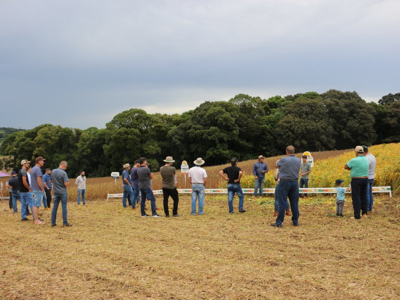 Entreposto de Mari�polis realiza Dia de Campo na fazenda Nossa Senhora Aparecida
