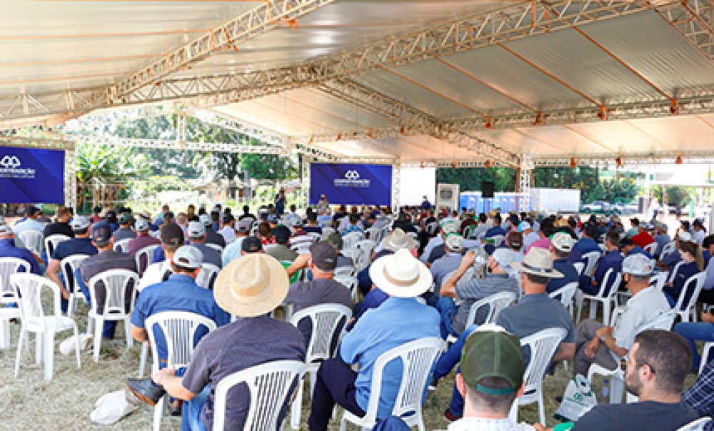 Dia de Campo de Ver�o Coopertradi��o apresenta grandes variedades para a pr�xima safra