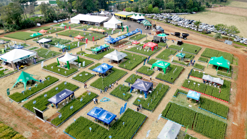 Coopertradi��o Realiza 6� Edi��o do Dia de Campo de Inverno