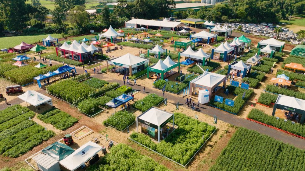 Dia de Campo de Ver�o acontece na pr�xima semana