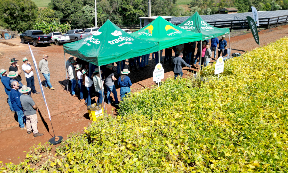 Tradi��o Sementes e DonMario promovem evento t�cnico
