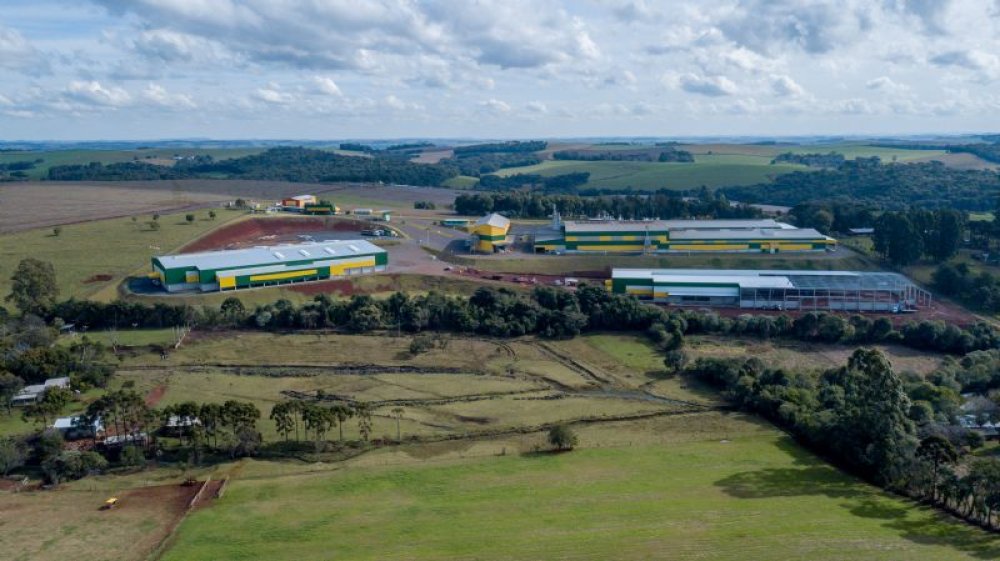 Tratamento de Sementes da Coopertradi��o trata mais de 365.000 sacas de sementes 