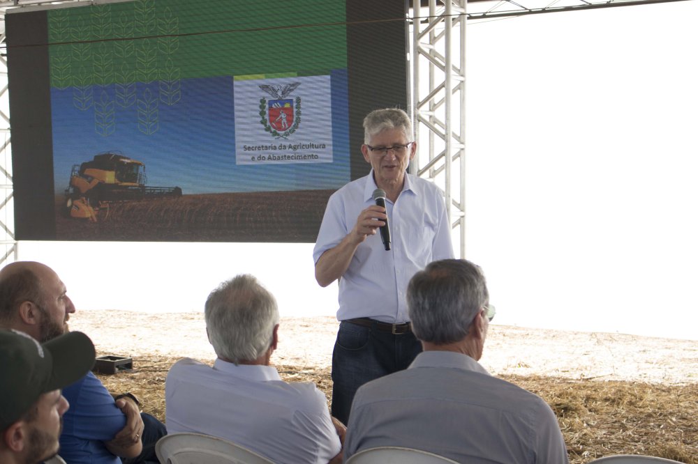 Norberto Ortigara: 