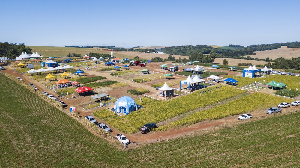 Dia de Campo da Coopertradi��o traz culturas de Soja e Milho e tamb�m momento para pecuaristas. 