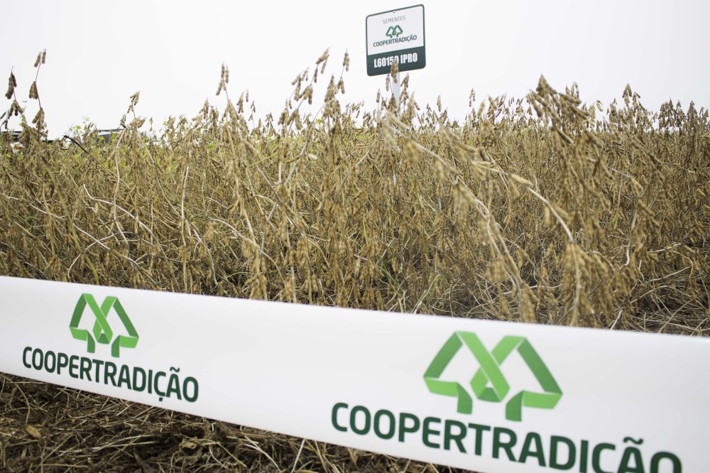 Sementes Coopertradi��o promove dia de campo em Pato Branco