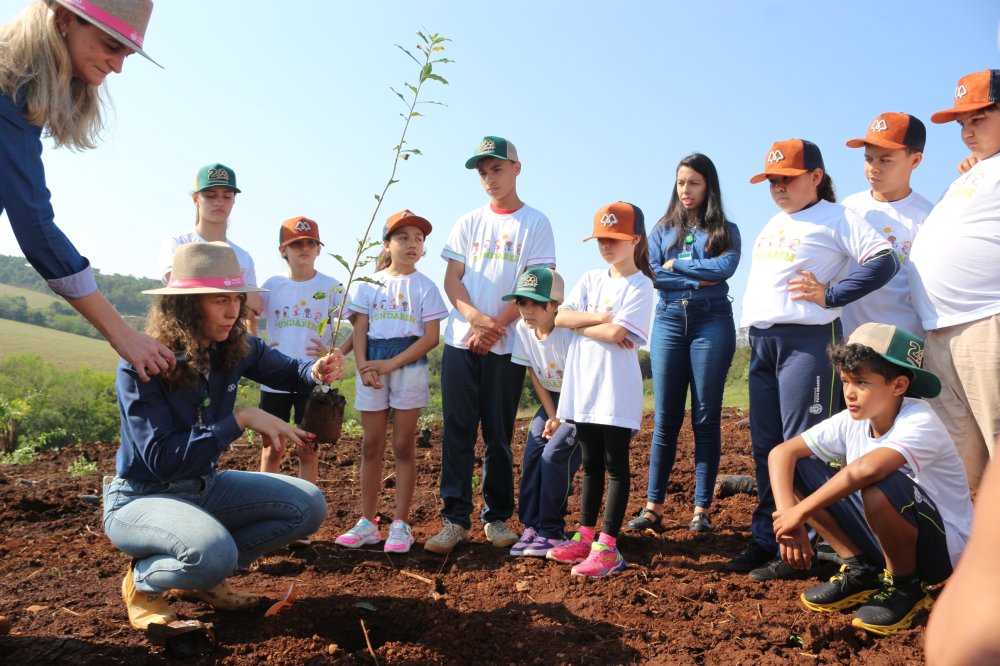 Coopertradi��o cria �rea de prote��o do novo complexo agroindustrial em Pato Branco