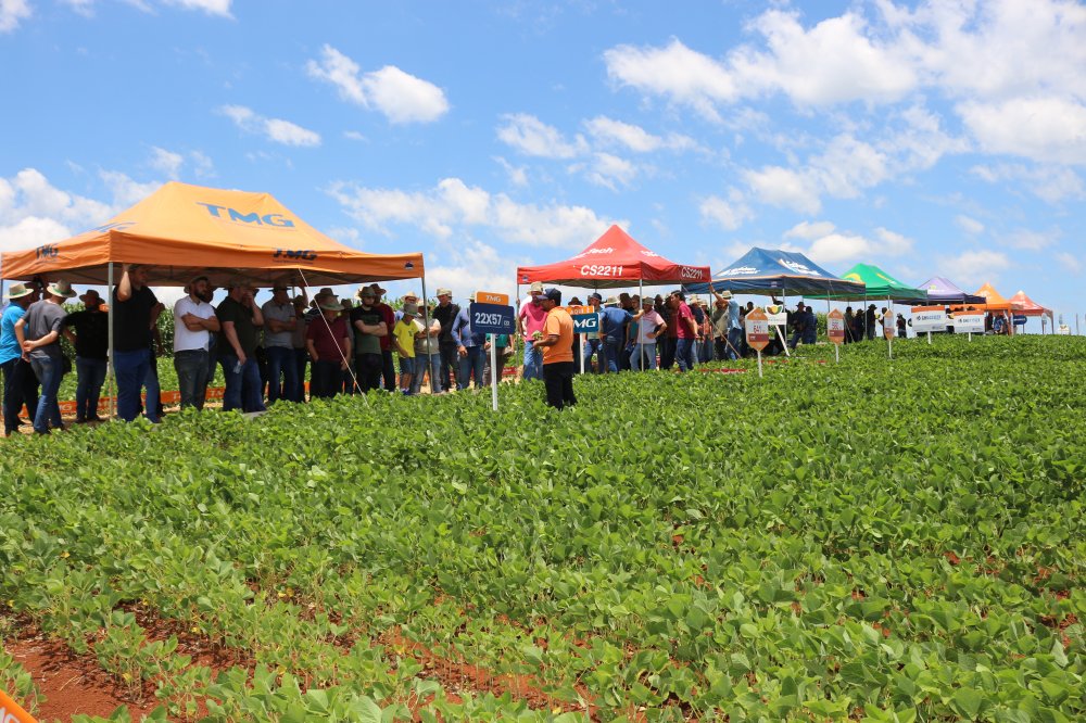Coopertradi��o re�ne clientes e produtores de sementes em edi��o especial de Dia de Campo