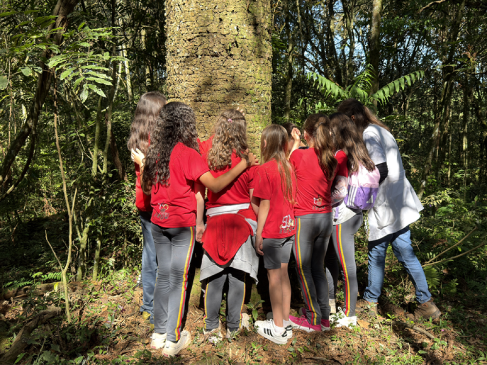 Espa�o Ecol�gico Tradi��o recebe alunos para dia de educa��o ambiental em alus�o ao Dia da �rvore