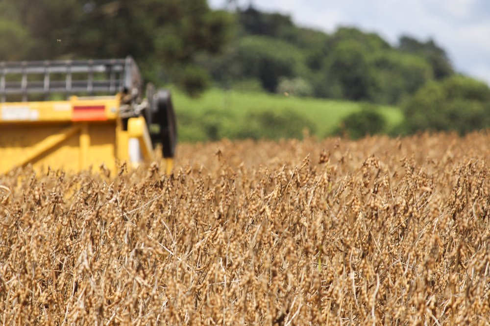 No Sudoeste, agroneg�cio garante seguran�a alimentar e gira economia