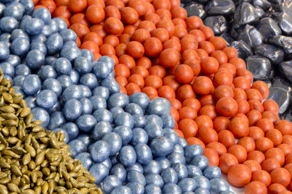 Sementes da Coopertradi��o recebem selo Bayer SeedGrowth�